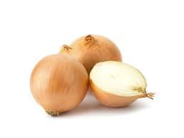 Cebola