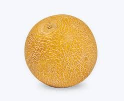 Meloa