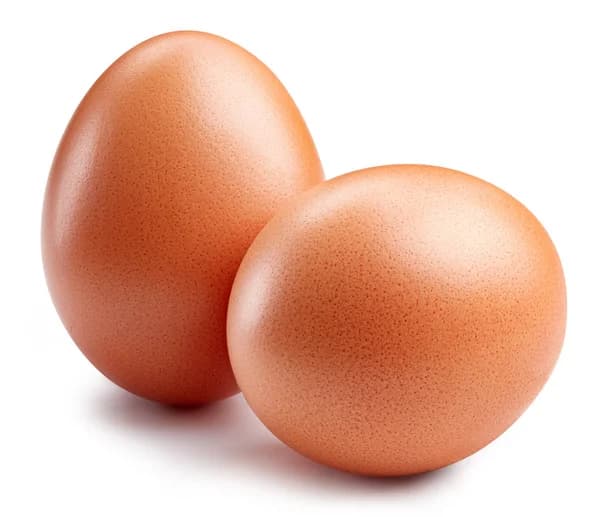 Ovos L